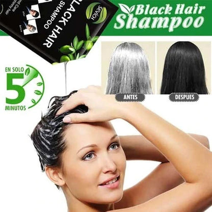 SHAMPOO ANTI CANAS - BLACK HAIR