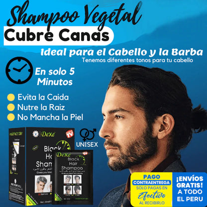 SHAMPOO ANTI CANAS - BLACK HAIR